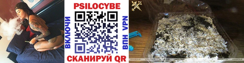 купить наркотик  Северская  hydra зеркало  Псилоцибиновые грибы Psilocybe 