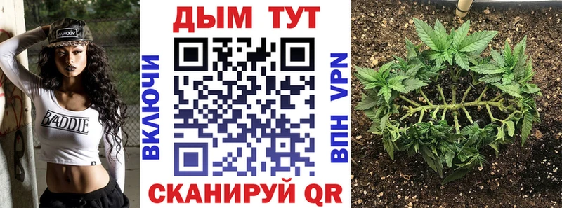 Бошки Шишки сатива  закладки  Северская 